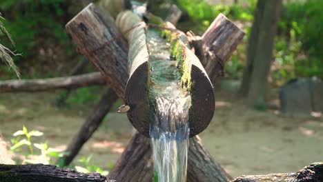 Clear-fresh-water-flowing-through-open-wooden-pipes-filling-wooden-water-mill-for-milling-wheat-and-rice-in-Korean-folk-village-Yongin-City,-Korea