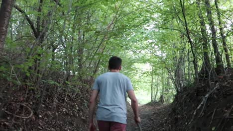 a man walks on a footpath in forest, daytime, summer season