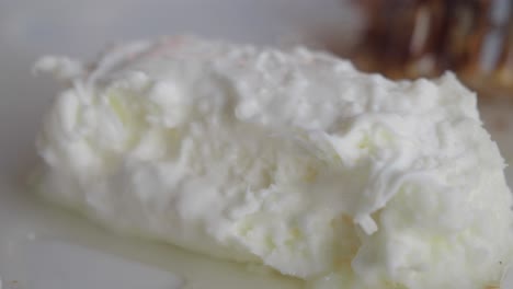 close up of a creamy white dessert on a plate