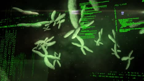 animación del giro de la hélice de adn y procesamiento de datos médicos