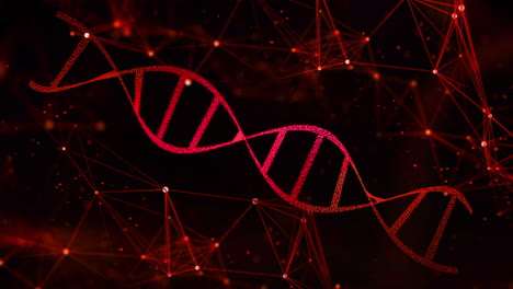 dna helix structure rotating