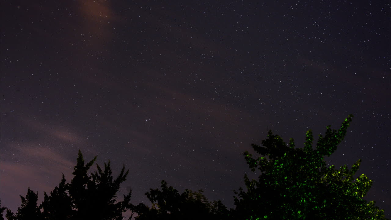 실루엣이 있는 나뭇가지 뒤에서 시간이 지남에 따라 회전하는 아름다운 별이 빛나는 밤하늘의 저속