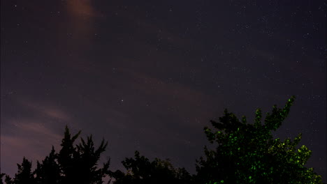 Lapso-De-Tiempo-De-Un-Hermoso-Cielo-Nocturno-Estrellado-Girando-En-El-Tiempo-Detrás-De-Las-Ramas-De-Los-árboles-Silueteados