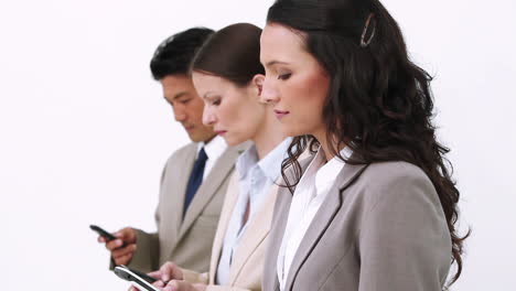 equipo de negocios enviando mensajes de texto