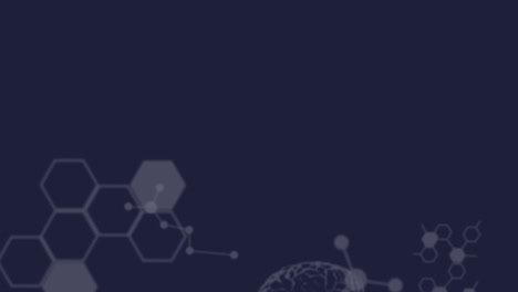 animación de moléculas y cerebros humanos flotando con el procesamiento de datos