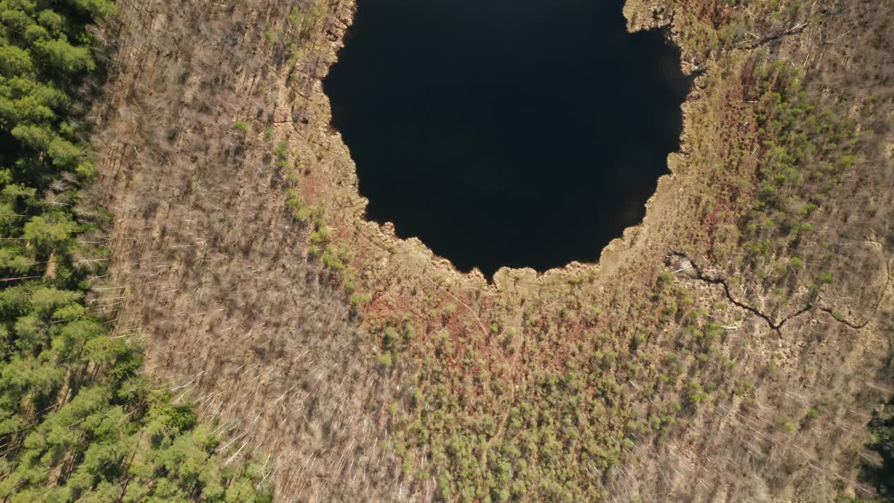 antena: vista superior del lago azul profundo en el bosque