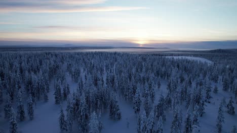 drone flies over vast wintery landscape at dusk in lapland, finland, arctic circle