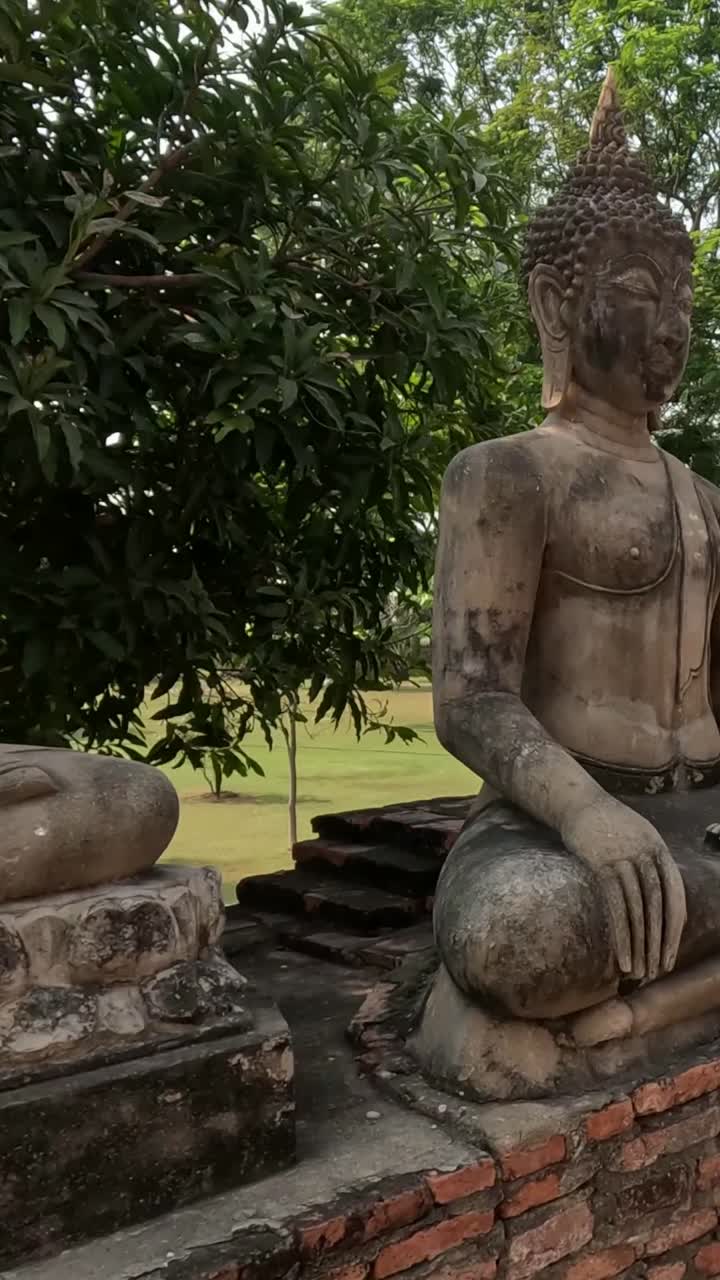 vista panorámica de las estatuas de buda en el sitio histórico
