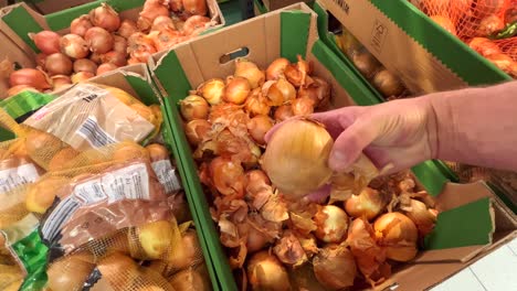 a shelf with fruits and vegetables in a grocery store, onions are lying in containers