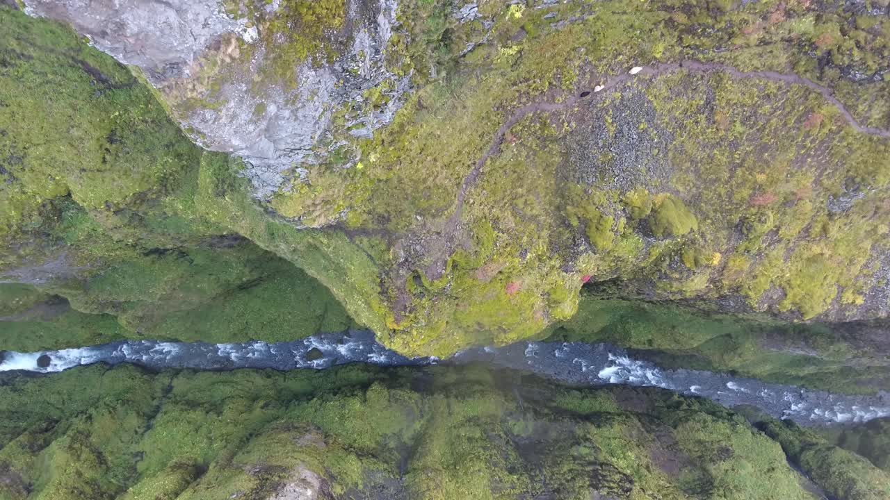 tres ovejas caminando en el borde de un cañón con un río en islandia.