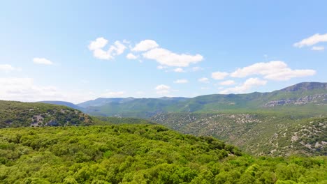 Drones-Aéreos-Disparados-Sobre-Bosques-Verdes,-Colinas,-Con-Un-Río-Que-Corre-Por-El-Medio,-Montañas-Al-Fondo,-Vegetación-Y-árboles-Por-Todas-Partes,-Cielo-Azul-Y-Algunas-Nubes