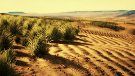 stoney desert in outback australia