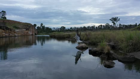 Tiro-De-Dron-De-Cisne-Sentado-En-Una-Roca-A-Lo-Largo-Del-Río