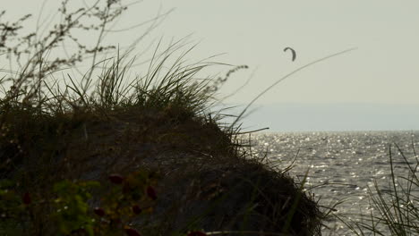 Vegetation-Auf-Einer-Klippe-Mit-Kitesurfen-In-Der-Ferne