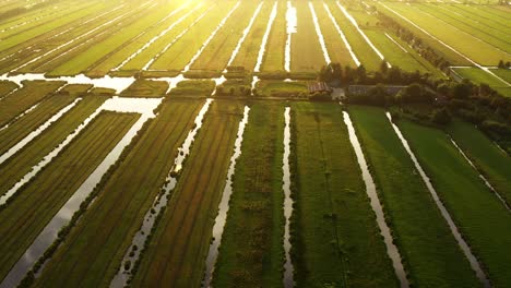 dutch polders at sunset - aerial view