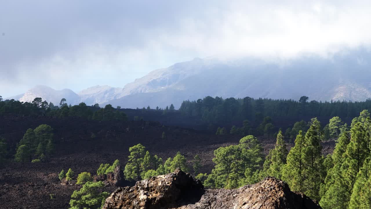 paisaje panorámico en el parque nacional del teide en tenerife en las islas canarias de españa, naturaleza volcánica, árboles verdes, nubes bajas que se mueven lentamente sobre las montañas, día soleado, toma amplia