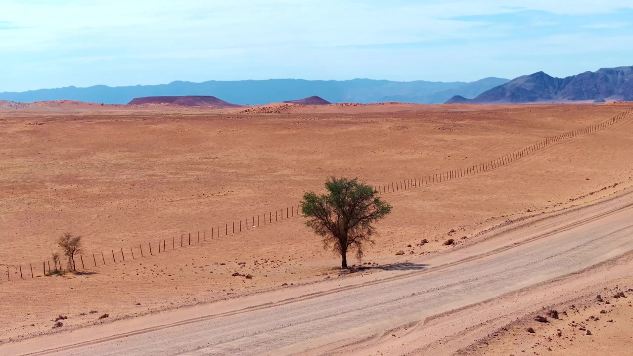 Luftaufnahme einer Wüstenstraße, die einen einsamen Baum und eine Zaunlinie über die trockenen Namib-Ebenen passiert. Die abgelegene Schotterstraße verläuft fast gerade über weite leere Ebenen unter einem riesigen offenen Himmel.
