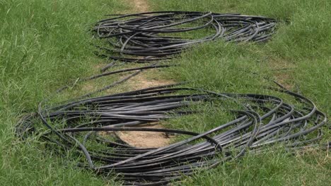 coiled up black hosepipes laying on ground