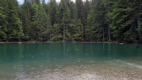panoramic view of a lake between forest and mountains