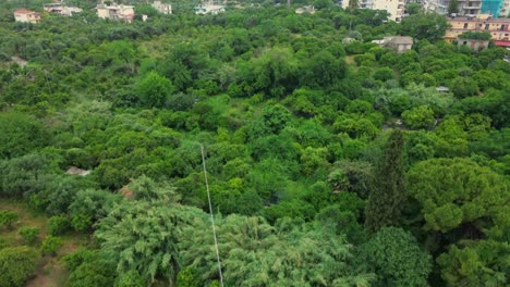 aerial top view establishing shot, tilt up revealing cityscape of kalamata eastern suburbs from olive grove 4k