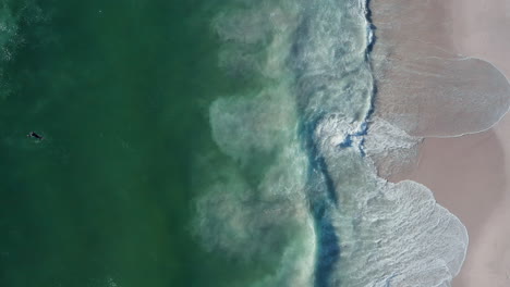 Persona-Nadando-Con-Tabla-De-Surf-En-El-Mar-De-Blouberg-En-Ciudad-Del-Cabo,-Sudáfrica