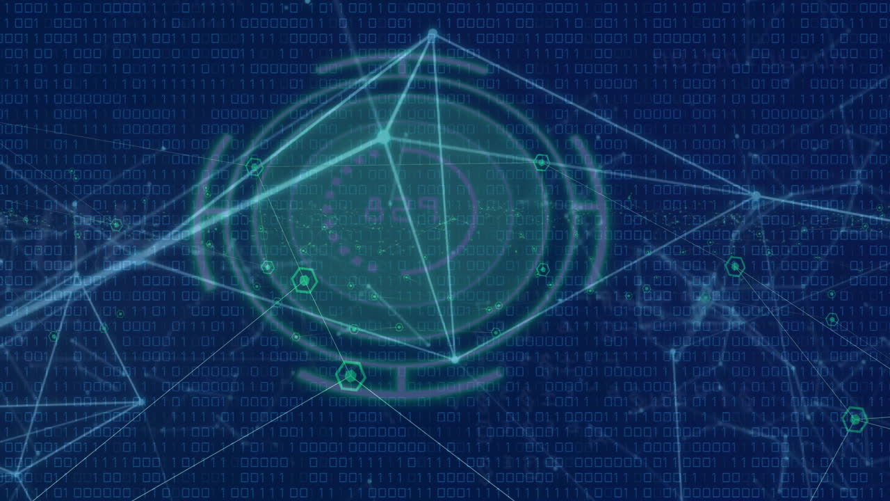 Animation of data processing over network of connections