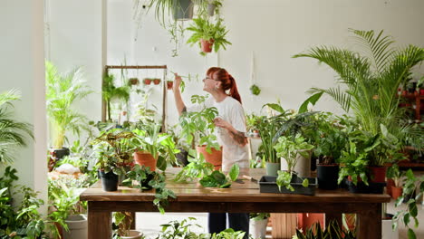 mujer cuidando una variedad de plantas de interior en una tienda de plantas