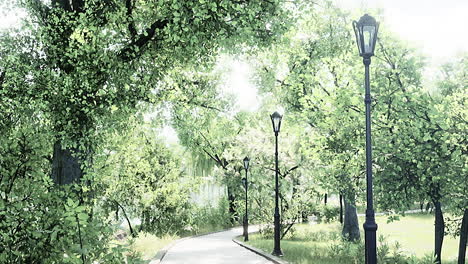 forest park road scenery in green countryside