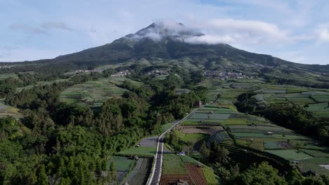 vuela sobre un enorme campo agrícola con un hermoso paisaje de montaña