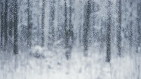 Winterlandschaft-Bei-Schneefall.-Abstrakter-Hintergrund-Für-Winterweihnachten-In-Superzeitlupe.