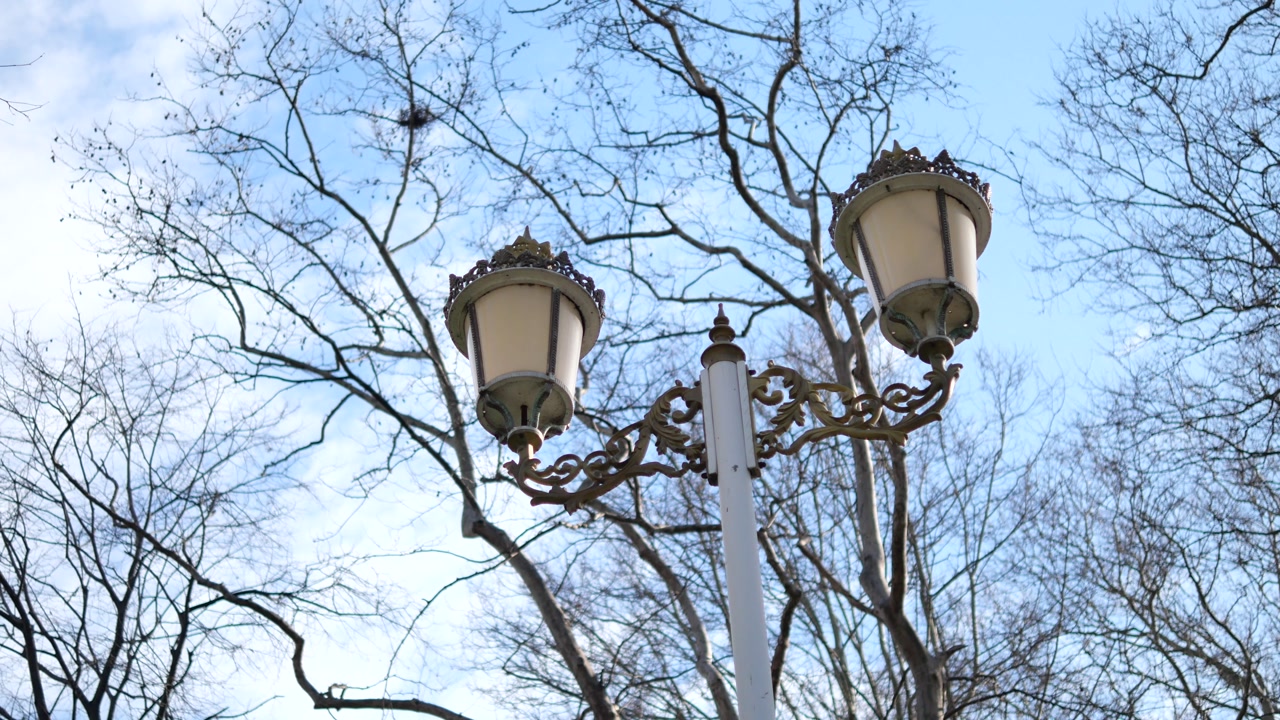 Ornate Street Lamp with Bare Tree Branches Against Blue Sky