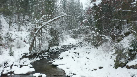 Foque-Sobre-Un-Pequeño-Arroyo-Que-Atraviesa-Un-Bosque-Cubierto-De-Nieve