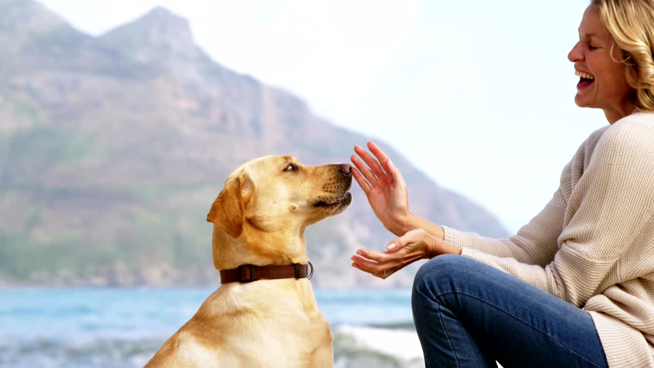 해변에서 개와 놀고 있는 행복한 성숙한 여자