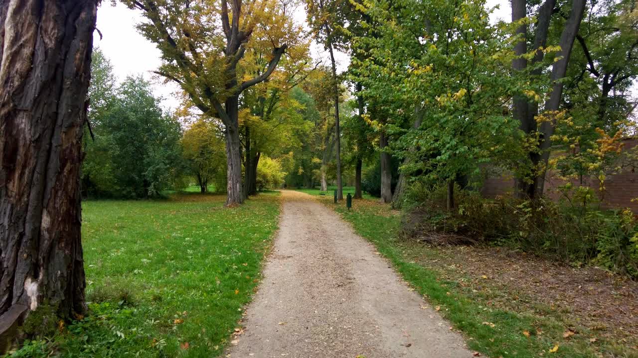 A walk in the autumn park along a well-maintained path