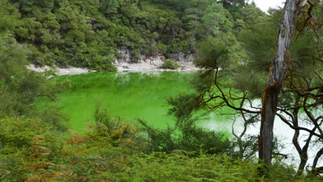 panning shot of green colored lake surrounded by overgrown hills in waiotapu thermal park area