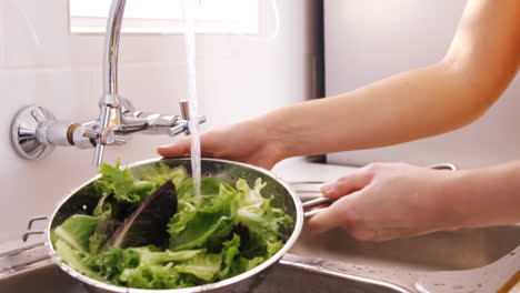 close up on a woman washing the lettuce