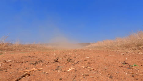 low-angle : toyota land cruiser speeding through africa's rugged terrain, leaving a cloud of dust behind