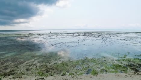 low-tide-at-zanzibar-beach