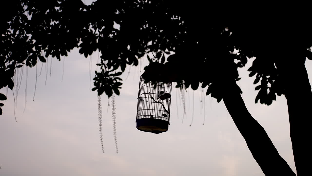 안전한 금속 새, 숲의 나무 줄기, 베트남 문화 취미