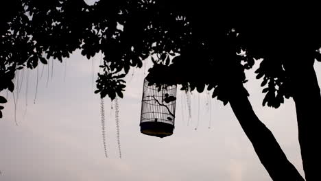 jaula de pájaros de metal asegurada, tronco de árbol del bosque, pasatiempo cultural vietnamita