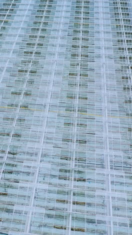 glass roofs of greenhouses. flying over large industrial greenhouses with vegetables. vertical video