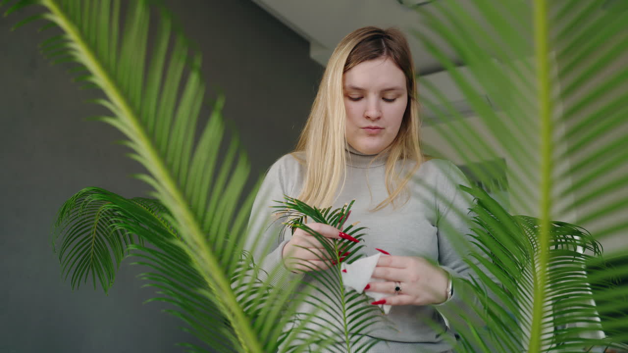 Woman Taking Care of Indoor Palm Plants