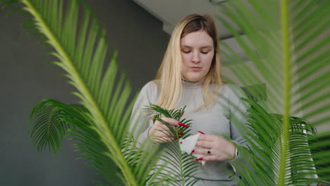 woman taking care of indoor palm plants