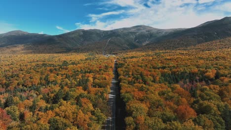 Straße-Inmitten-Des-Waldes-Mit-Herbstfarben-Tagsüber