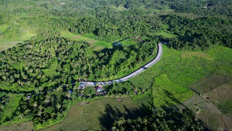 overhead drone shot of curved countryside road along lush tropical island greenery and rice paddies at san andres, catanduanes, philippines.