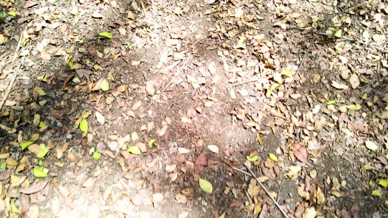 cielo de la aldea al aire libre hermoso paisaje de la aldea del bosque del paisaje aéreo - fotografía aérea del bosque rural kenia - controlador inalámbrico de drones quadcopter