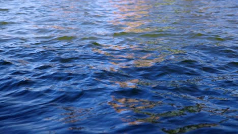 rippling sapphire sea waters with light reflections on its wavelets