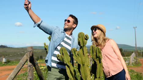 pareja tomando una selfie con un teléfono móvil 4k