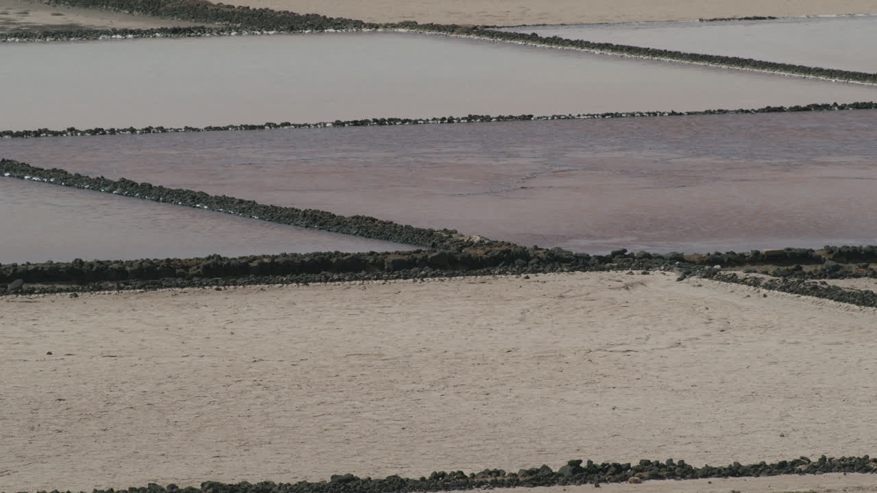 extracción de sal en las salinas de janubio en lanzarote