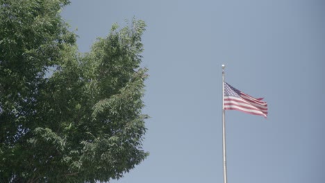 a flag flying in the air over a tree